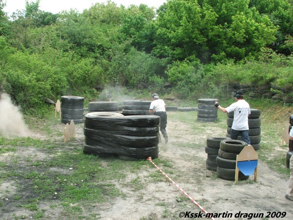 Mosquito 2009