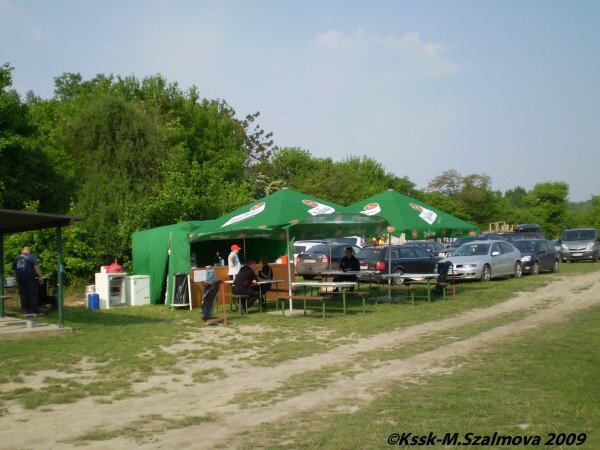 Mosquito 2009