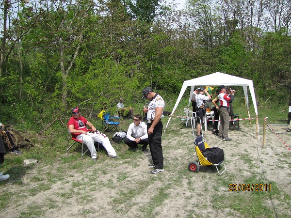 Mosquito 2011