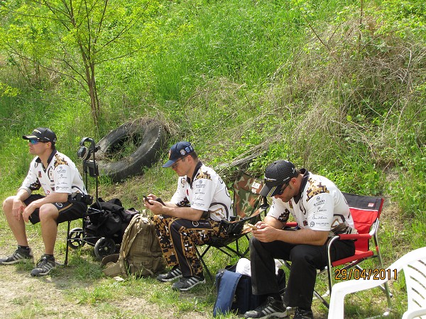 Mosquito 2011