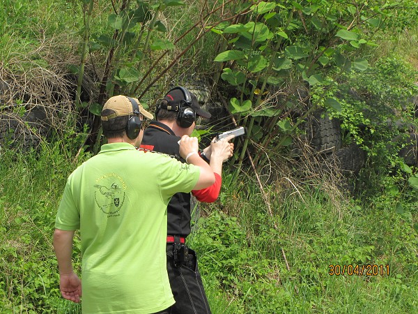 Mosquito 2011