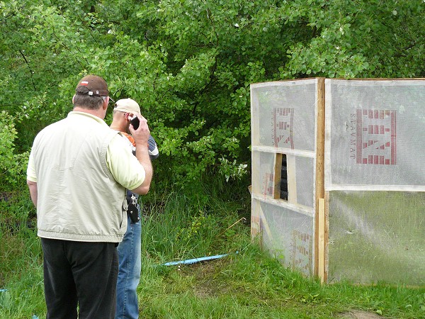 Mosquito 2011